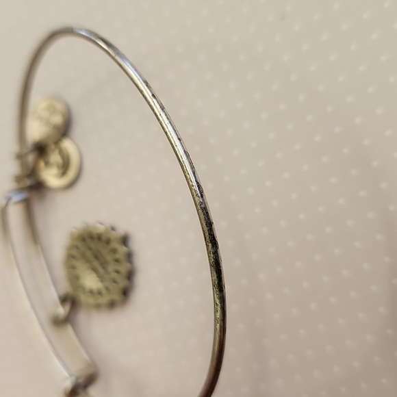 Alex and Ani Compass Bangle Charm Bracelet - Picture 3 of 3